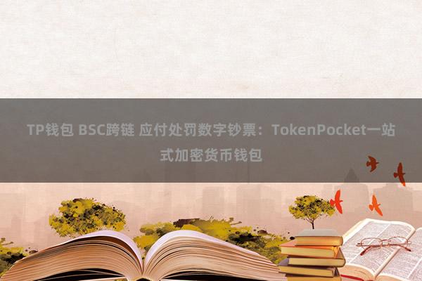 TP钱包 BSC跨链 应付处罚数字钞票：TokenPocket一站式加密货币钱包