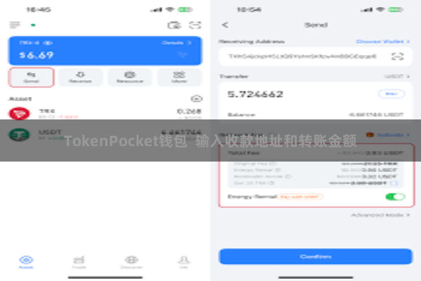 TokenPocket钱包  输入收款地址和转账金额