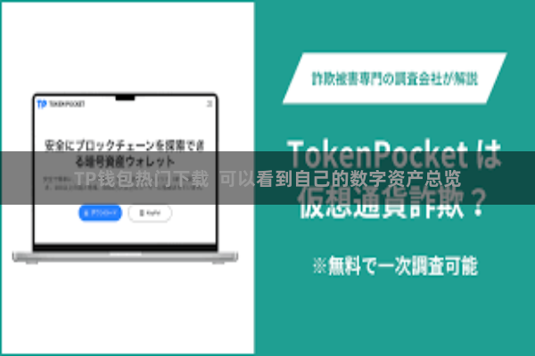 TP钱包热门下载  可以看到自己的数字资产总览